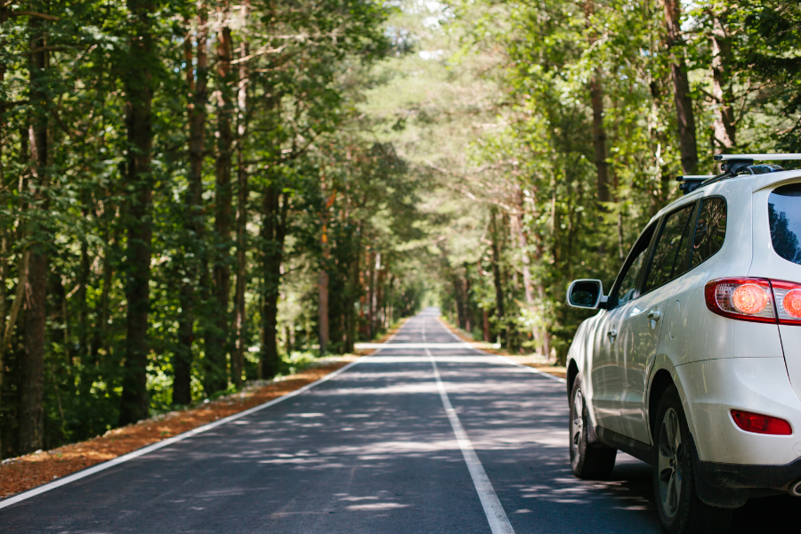 Older Drivers Safety - Car in the forest